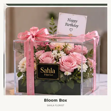 Bloom Box Mojoroto